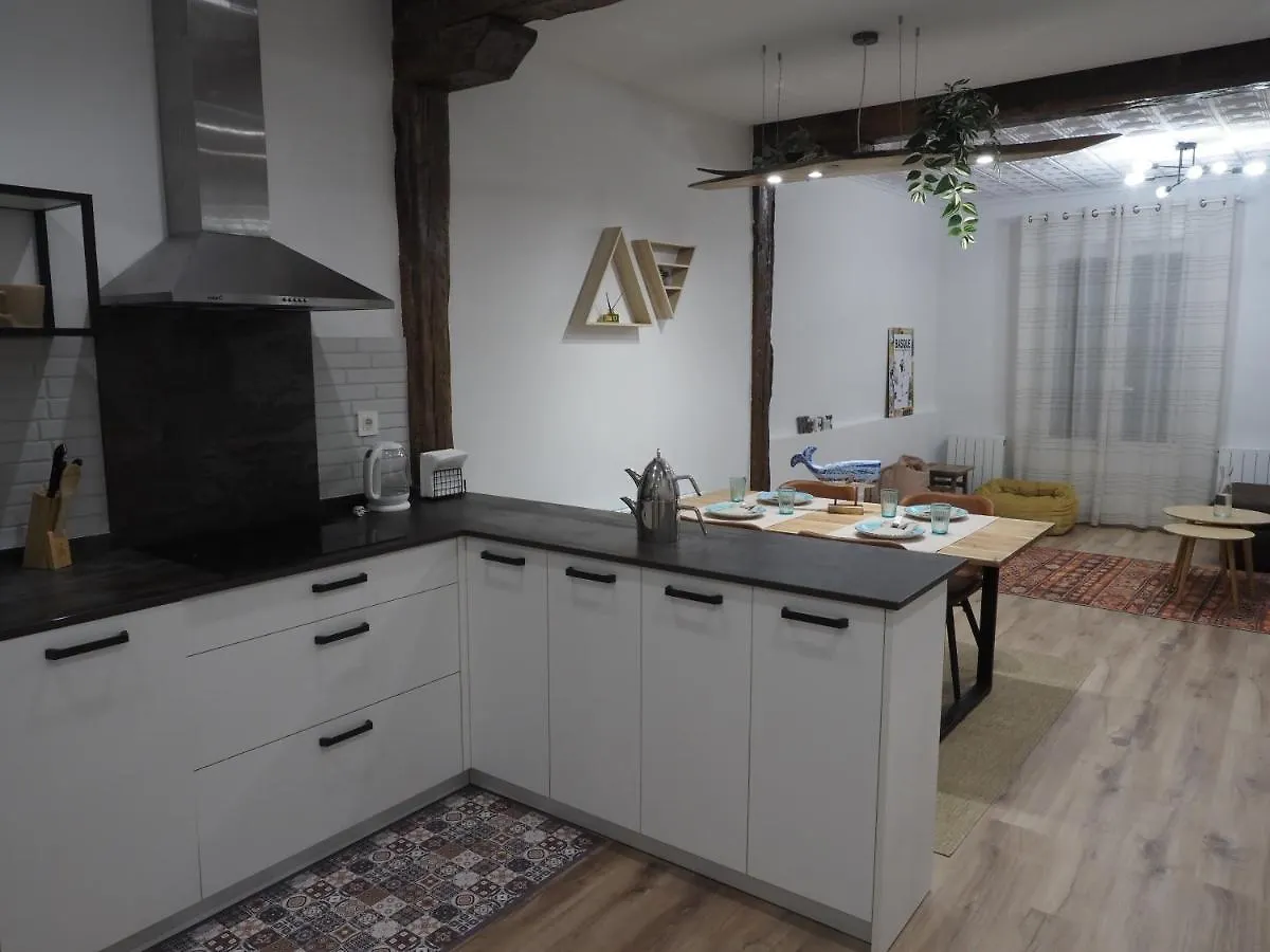 Etxe Maitia Flat Ideal For Home Office And Families And Friends 毕尔巴鄂 公寓