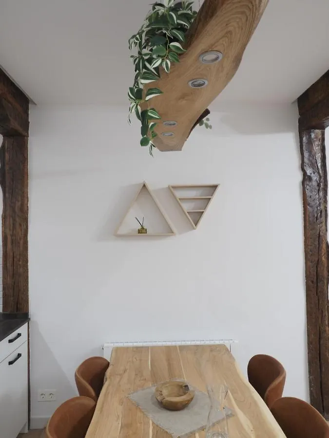 Etxe Maitia Flat Ideal For Home Office And Families And Friends 毕尔巴鄂